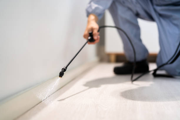Licensed Termite Control service in Jefferson, NC - Nex Pest Control