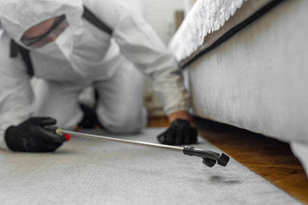 Professional Termite Control technician working in Jefferson, NC