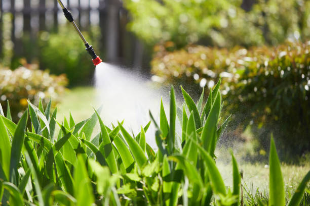 24/7 Emergency Termite Control experts in Jefferson, NC