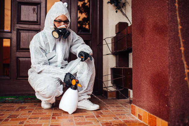 Reliable Termite Control contractor in Jefferson, NC by Nex Pest Control
