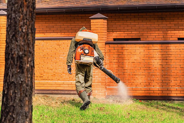 Top rated local Termite Control specialists in Jefferson, NC